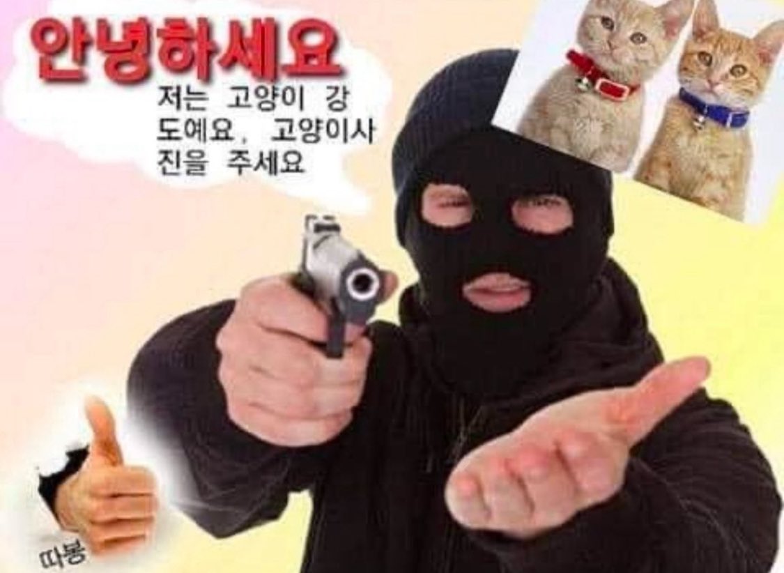 묭 tweet media