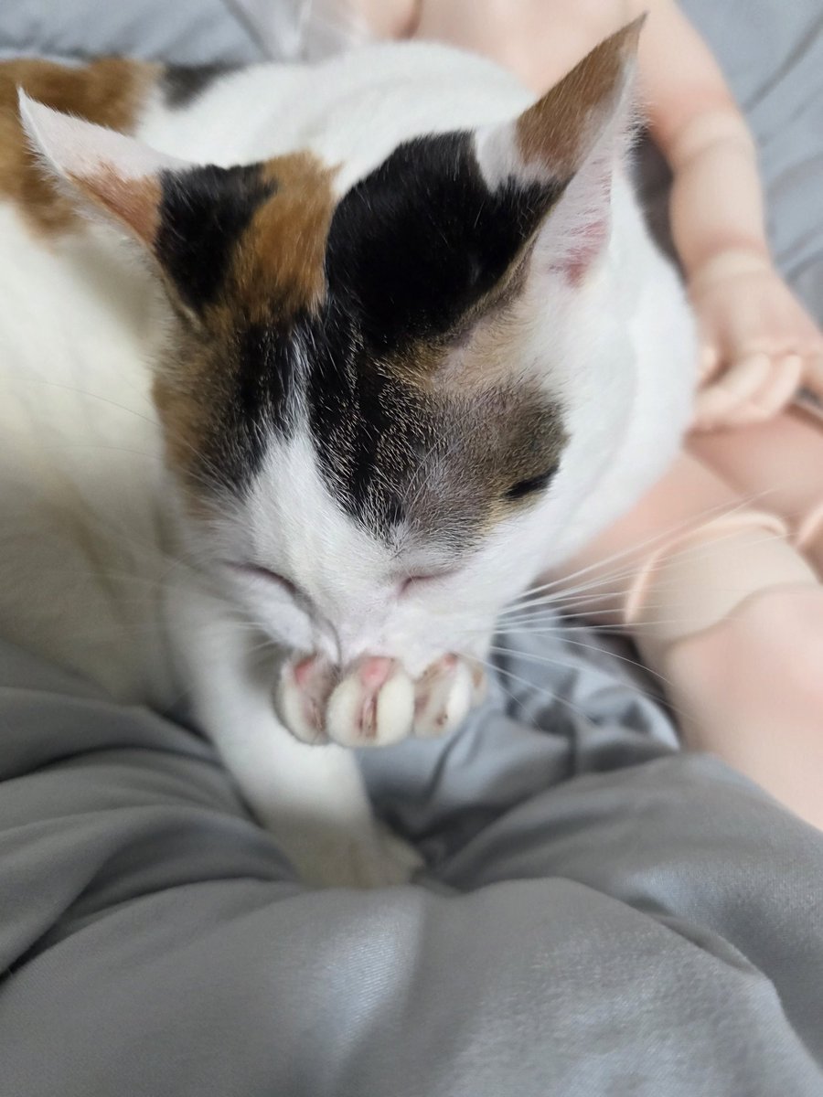 #레이와덩달이_덩달이