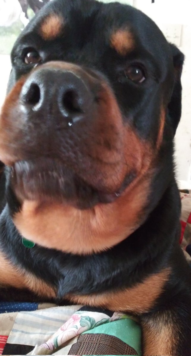 ♡ 𝕰𝖗𝖎𝖘 ♡ tweet media