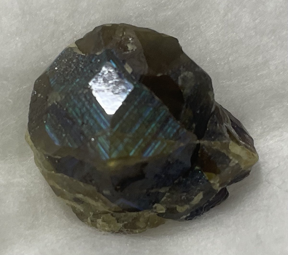 stellar_chaton's tweet image. 同産地のレインボーガーネット
結晶右上の破断面とその左側の形状と全体的な形状によりmindatに掲載されているものと同一個体なのは間違いないが、入手した時から全然上手く撮影できず泣いている子でもあります。