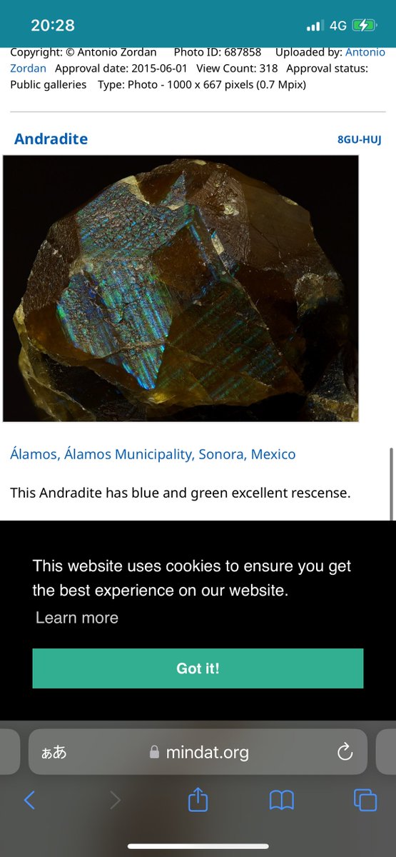 stellar_chaton's tweet image. 同産地のレインボーガーネット
結晶右上の破断面とその左側の形状と全体的な形状によりmindatに掲載されているものと同一個体なのは間違いないが、入手した時から全然上手く撮影できず泣いている子でもあります。