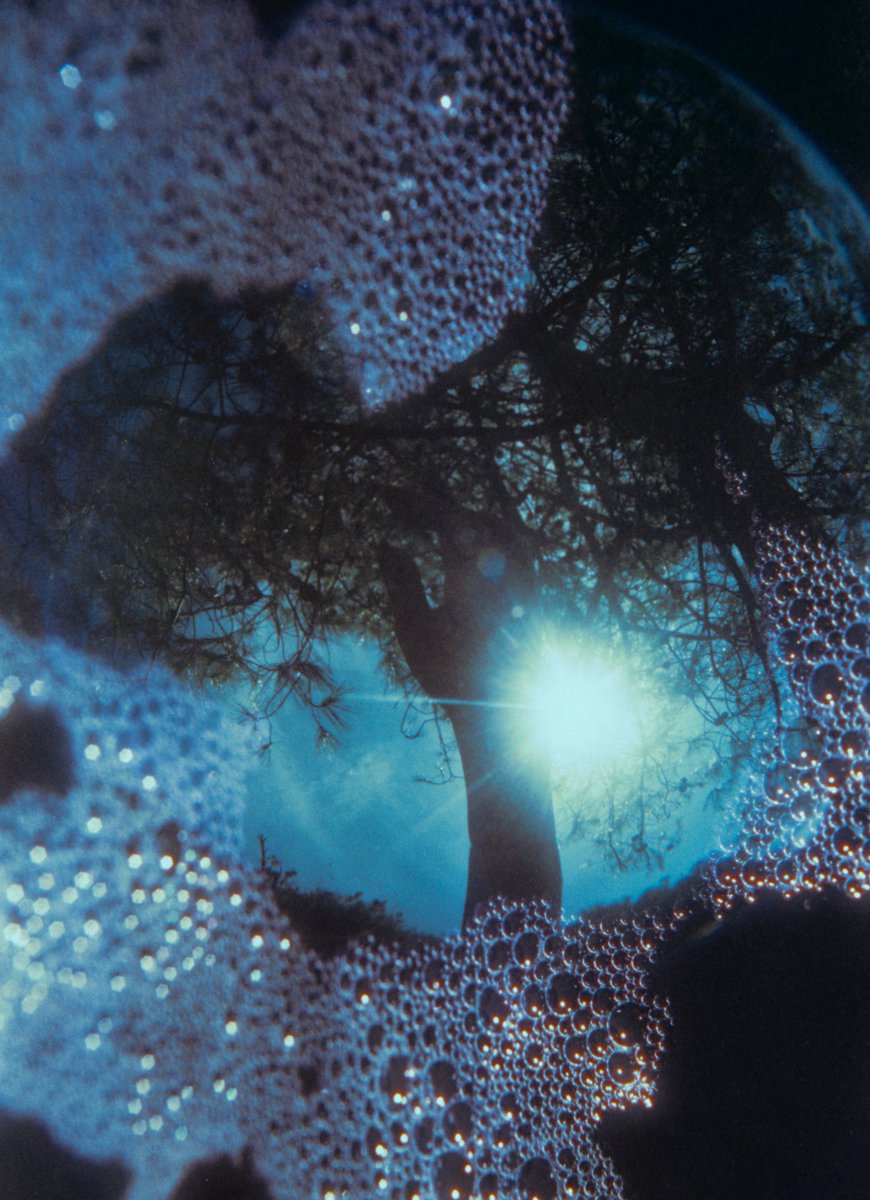 Gabriel Nebular tweet media