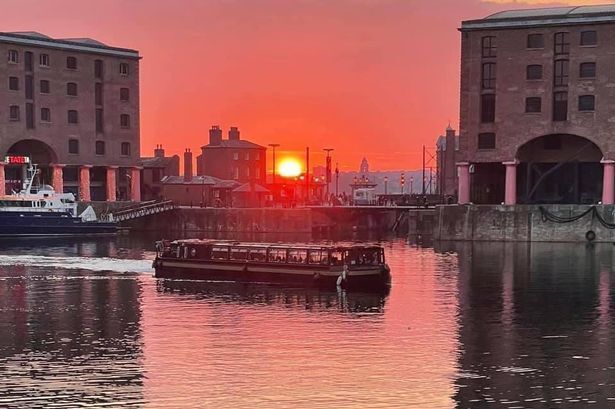 The Floating Grace tweet media