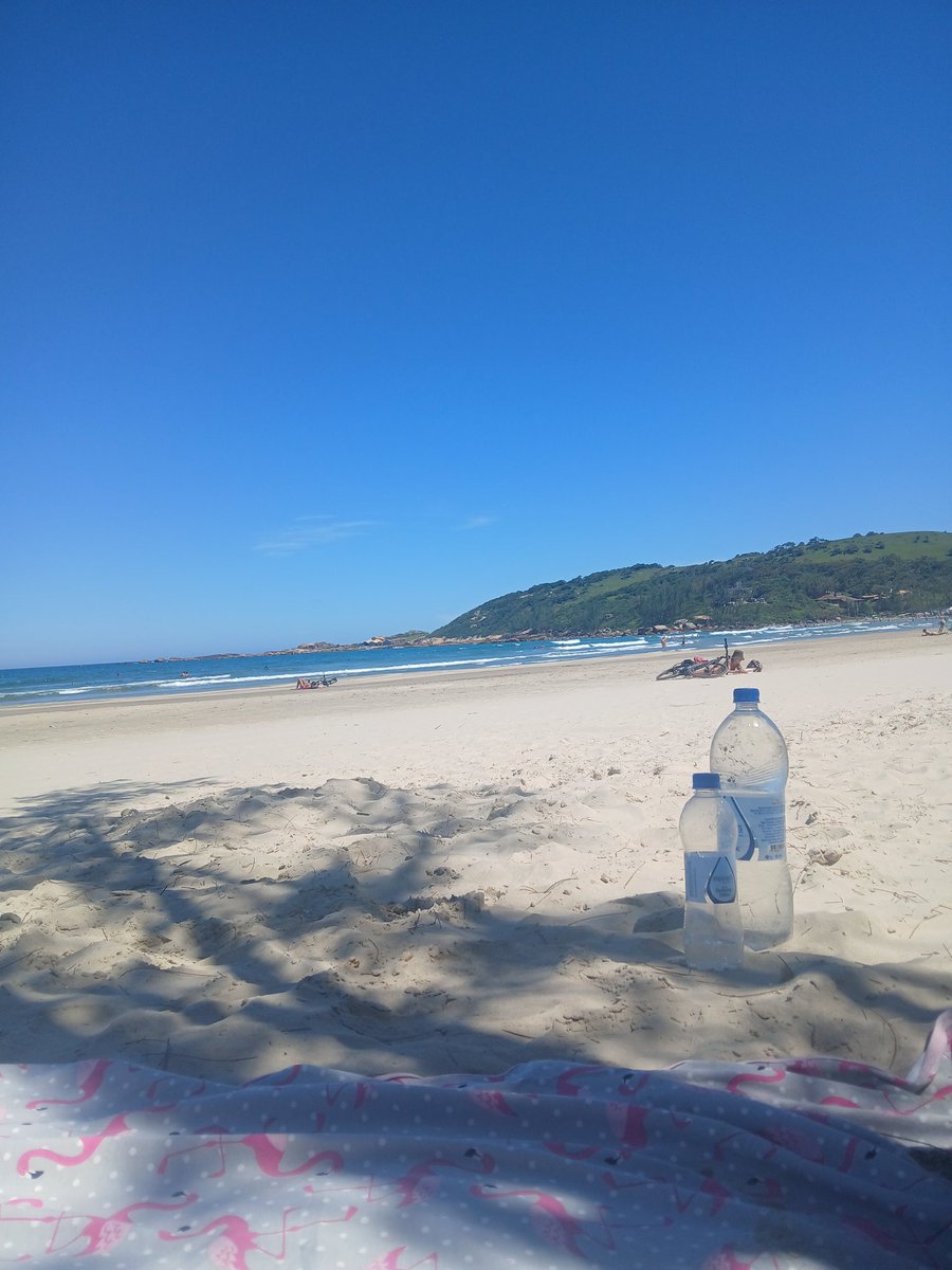 viUthor's tweet photo. Uma bela foto de um dia que tudo deu errado https://t.co/iO1409V2ph