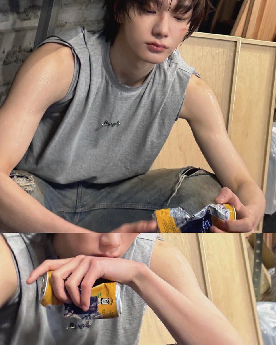 성른 아카이브 tweet media