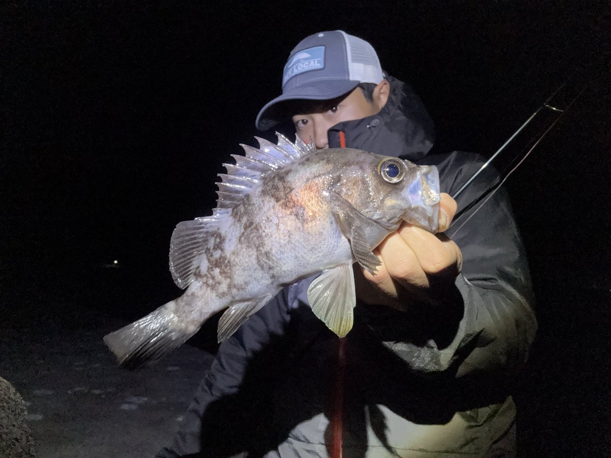 daisukefish's tweet image. 懐かしい釣り