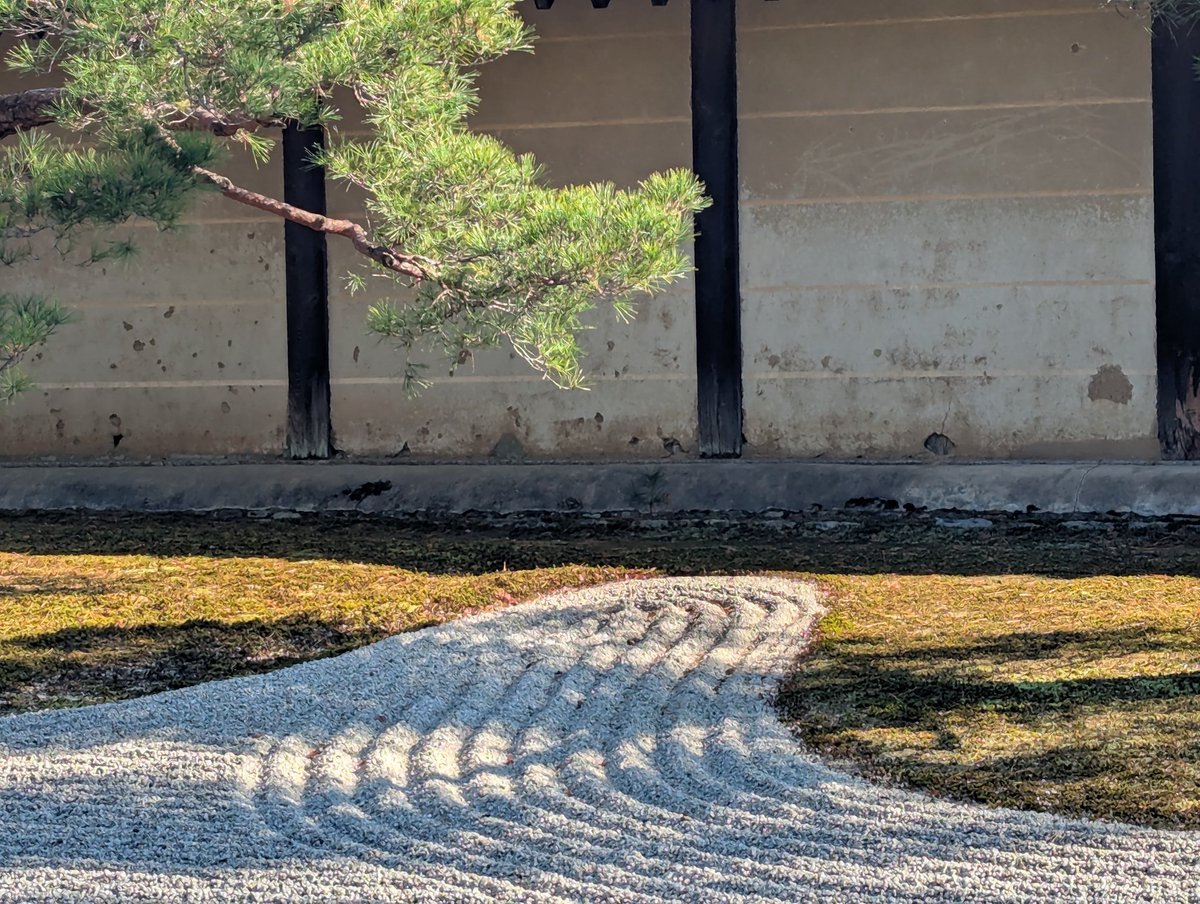 usako2020usako's tweet photo. 天龍寺〜竹林の小径 https://t.co/Yn0obANLkb