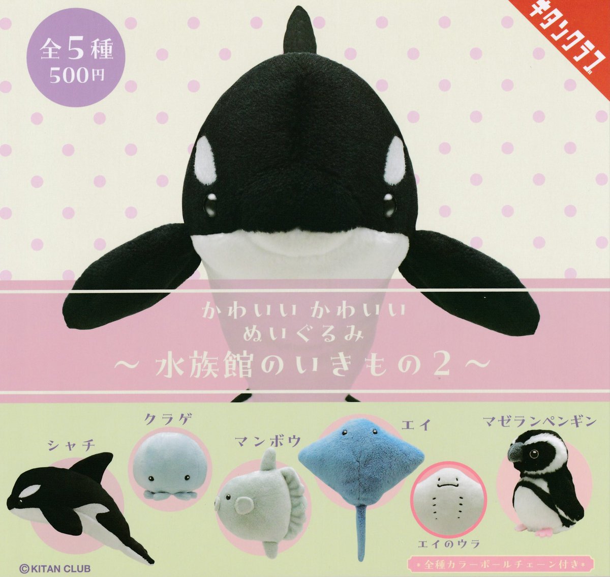 🥳再入荷情報🥳 ▶︎ かわいい かわいい ぬいぐるみ 〜水族館の