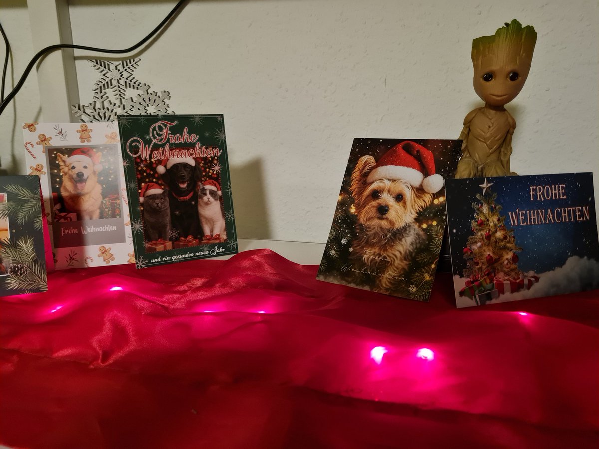 BrenaLilly's tweet image. Liebes #twitterrudel
Frauchen hat da auf der Fitrine im Wohnzimmer so komische Papierdingsis mit Pfotos von euch aufgestellt und freut sich wie bolle darüber! Sie sagt, nicht so schön wie bei @Rirosa2016, aber tropftzem wunderschön! Hopfentlich stehen da nächstes Jahr noch mehr❣️