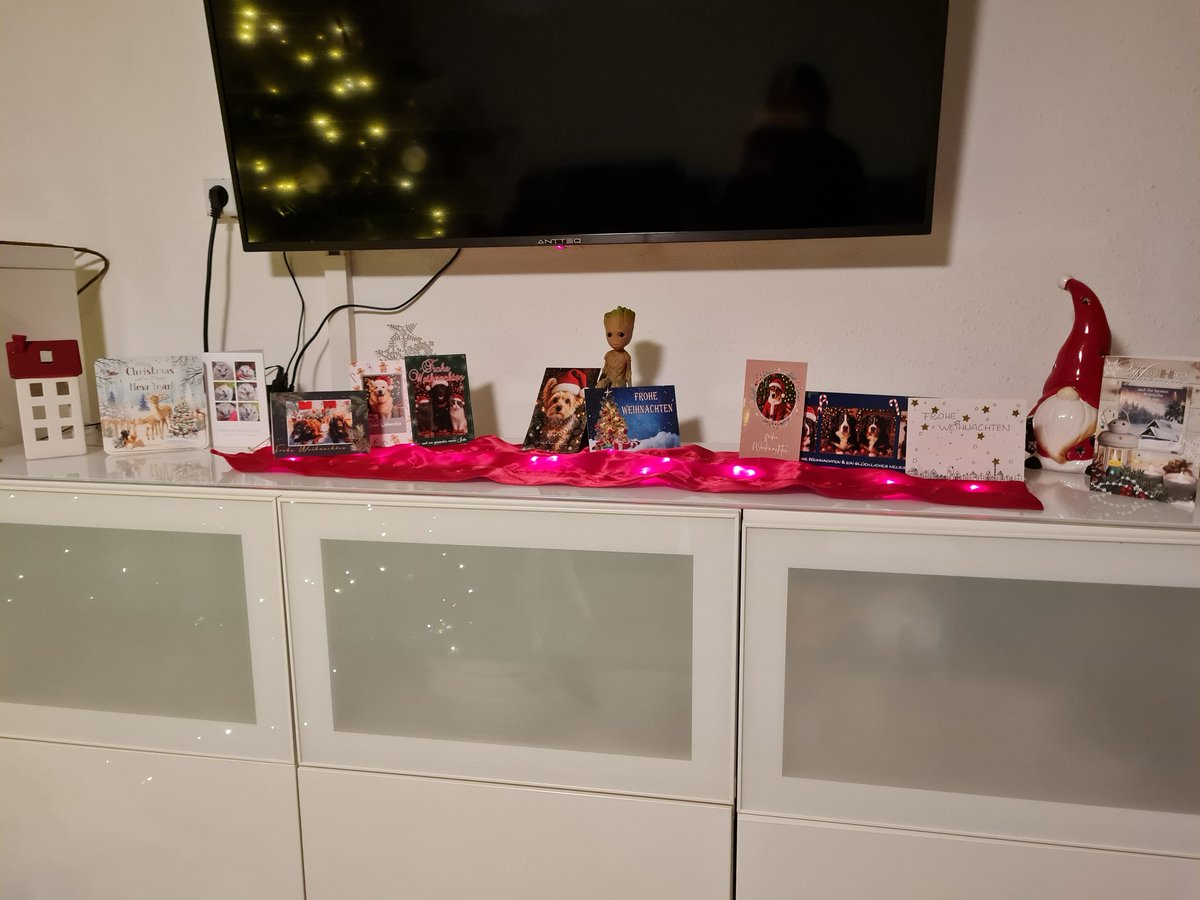 BrenaLilly's tweet image. Liebes #twitterrudel
Frauchen hat da auf der Fitrine im Wohnzimmer so komische Papierdingsis mit Pfotos von euch aufgestellt und freut sich wie bolle darüber! Sie sagt, nicht so schön wie bei @Rirosa2016, aber tropftzem wunderschön! Hopfentlich stehen da nächstes Jahr noch mehr❣️