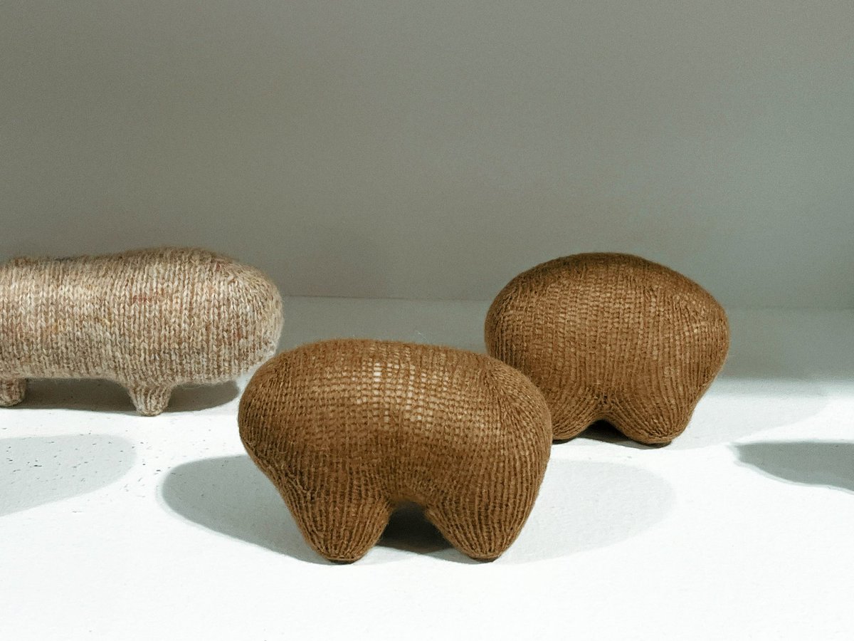 そういえば！東京行くタイミングでたまたま！展示が！ありまして！ついに本物とご対面できてしまいとってもとっても最高でした！　<a href="/ikuelle/">ikuellé</a> さんご本人からもお話を聞けてしまいハッピーアンドハッピーでした、、、ニットのまるいいのちたくさんでとっても幸せ空間、、写真選べないよ〜