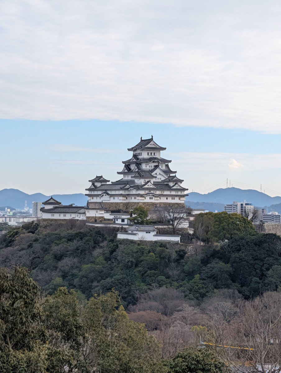 J@異世界召喚に備える日々 tweet media