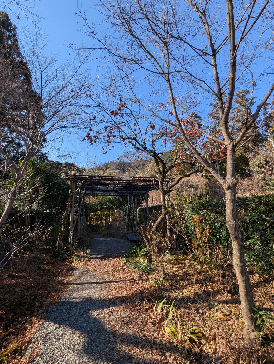 usako2020usako's tweet photo. 子どもの頃から、京都で1番好きな場所、落柿舎
久しぶりに来られて嬉しい
思わず一句読み、投句箱に入れてきました(句を詠むなんて高校生以来？) https://t.co/a0miflIFlr