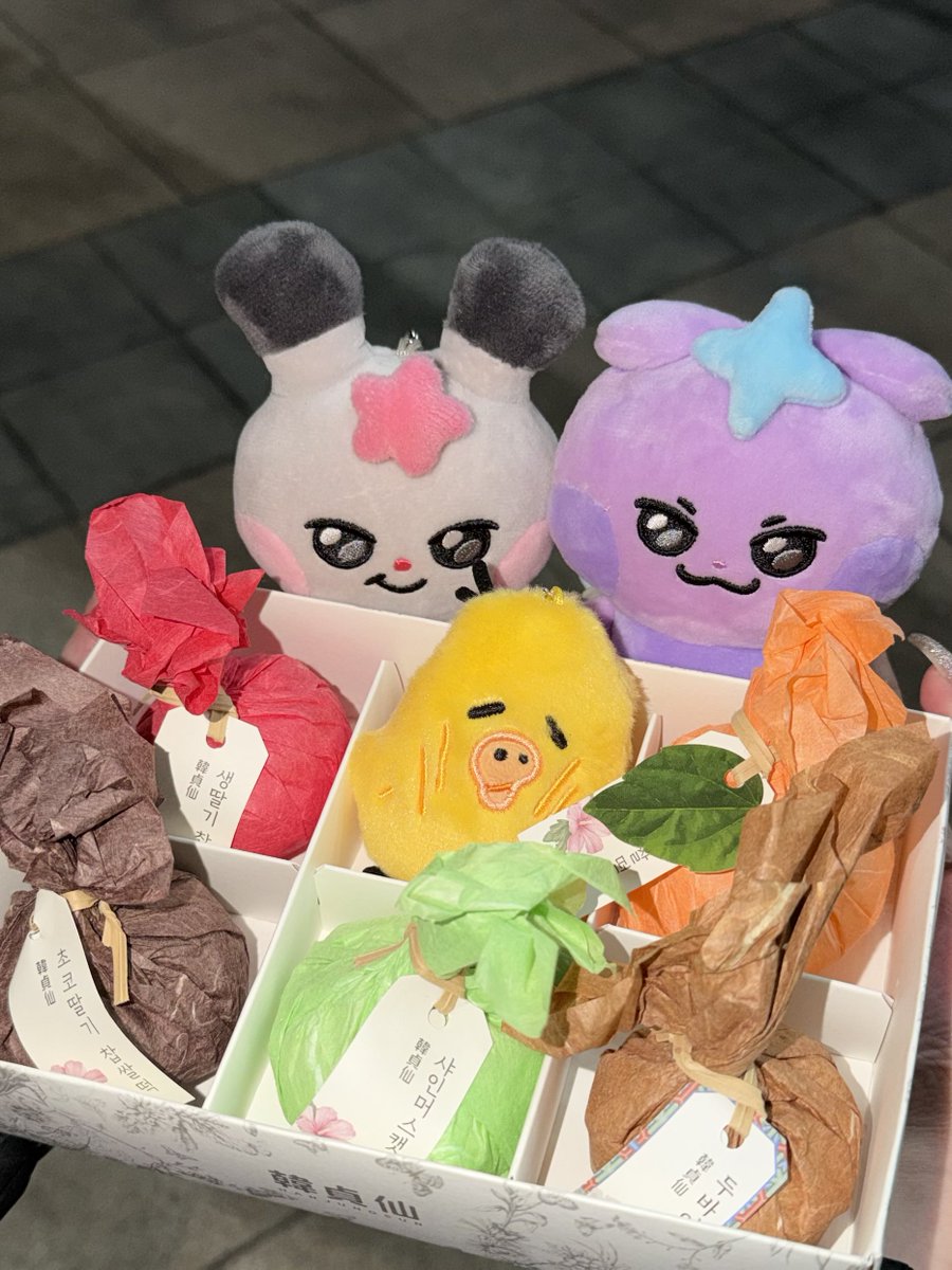 보리꼬리 tweet media