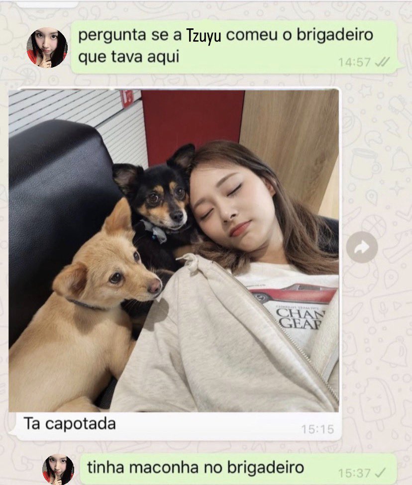 tzucervo's tweet image. 