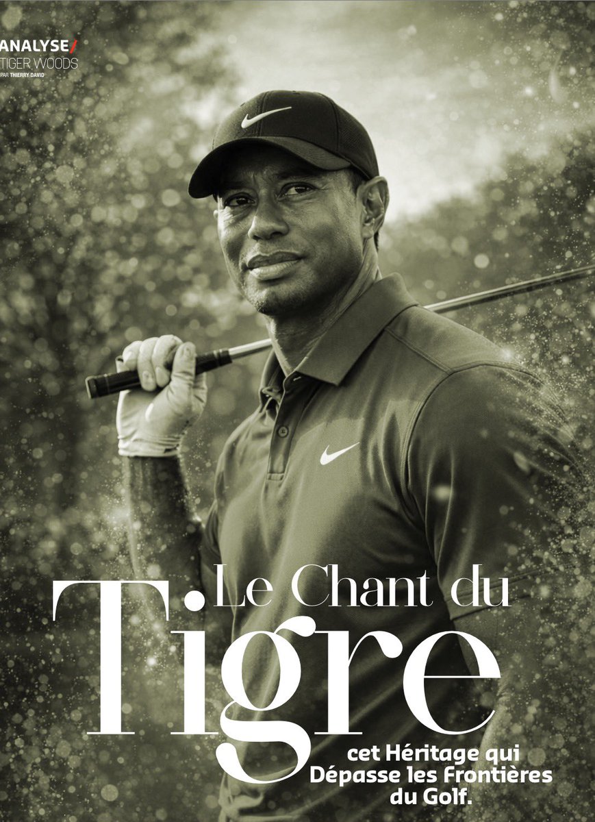 Thierry DAVID tweet media