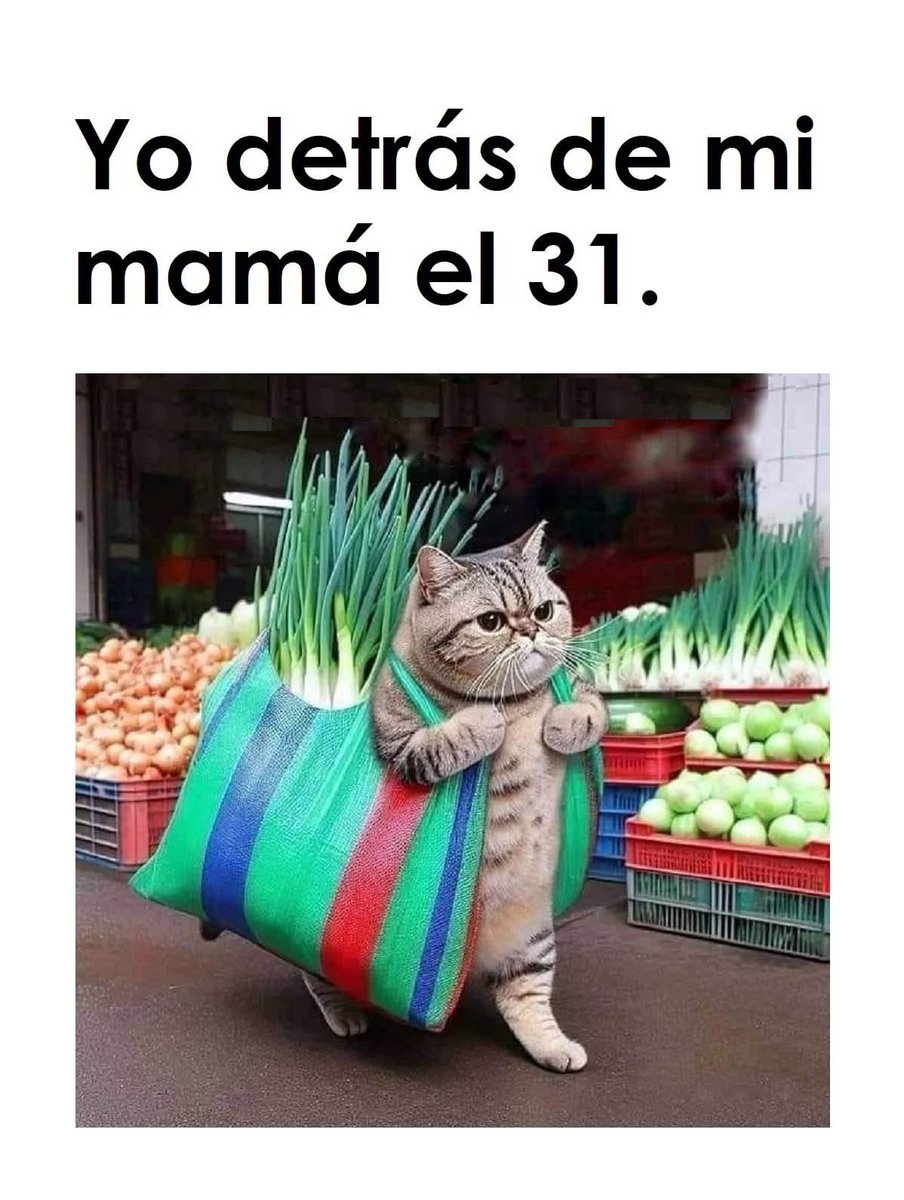 MemesSV7's tweet image. 