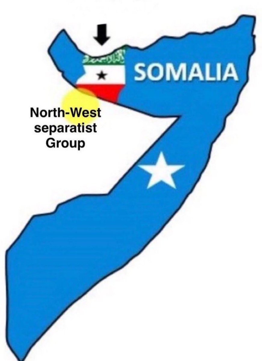 Abla عبلة tweet media