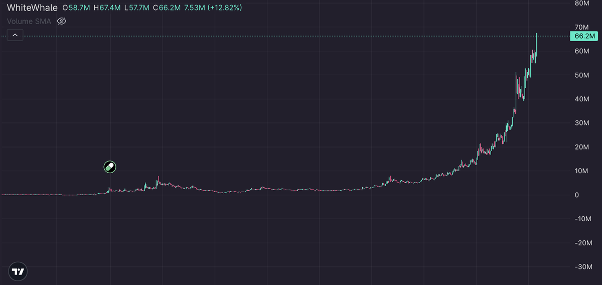 Sometimes you just have to be the top blast you want to see in the world 

$WhiteWhale is bringing hope back to the trenches