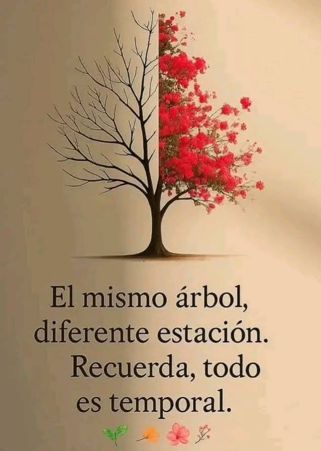 VidaEquilibrada (@vidaequilibrad4) on Twitter photo 