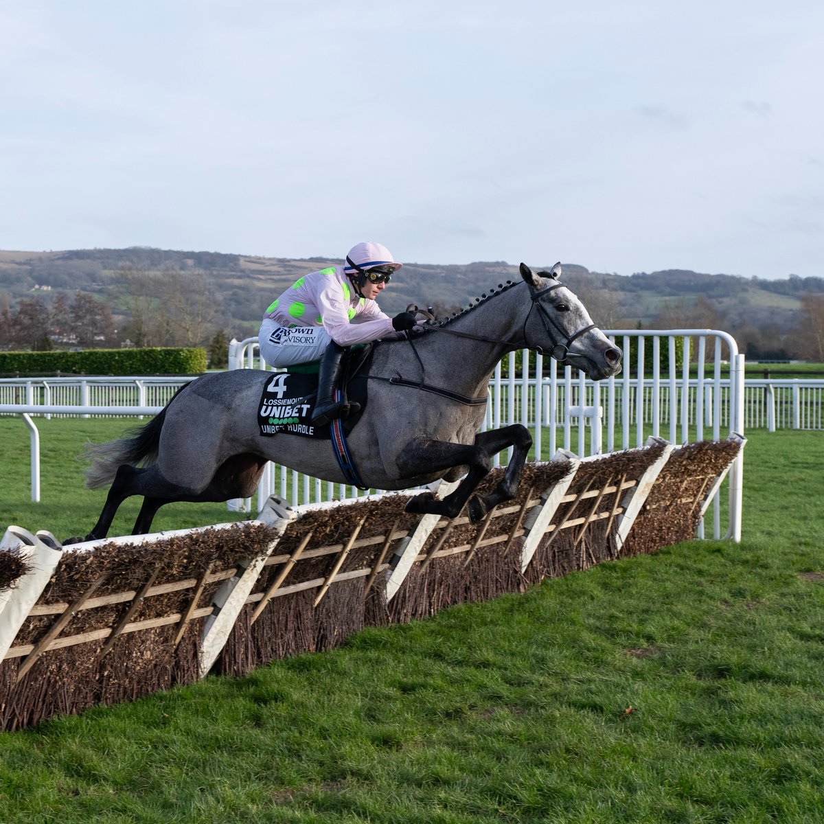 RacingPost's tweet image. LOSSIEMOUTH wins the December Hurdle 🩶

What a mare!