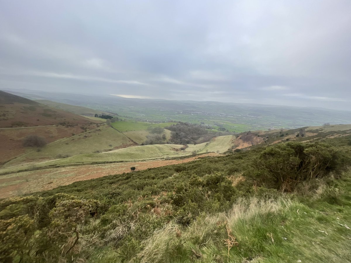 Mick Moran tweet media