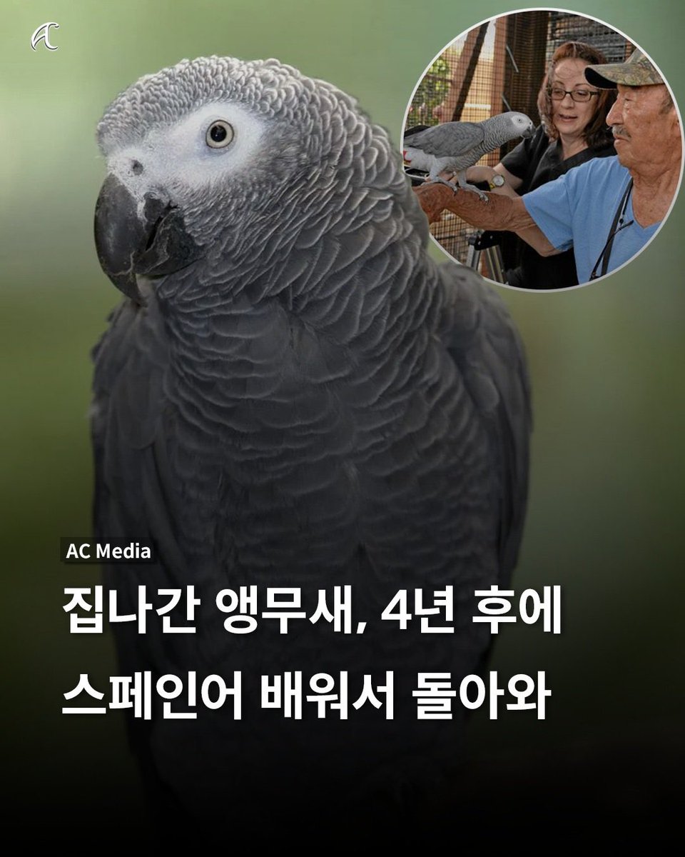 나는 앵무새 만도 못한 인간 이구나.