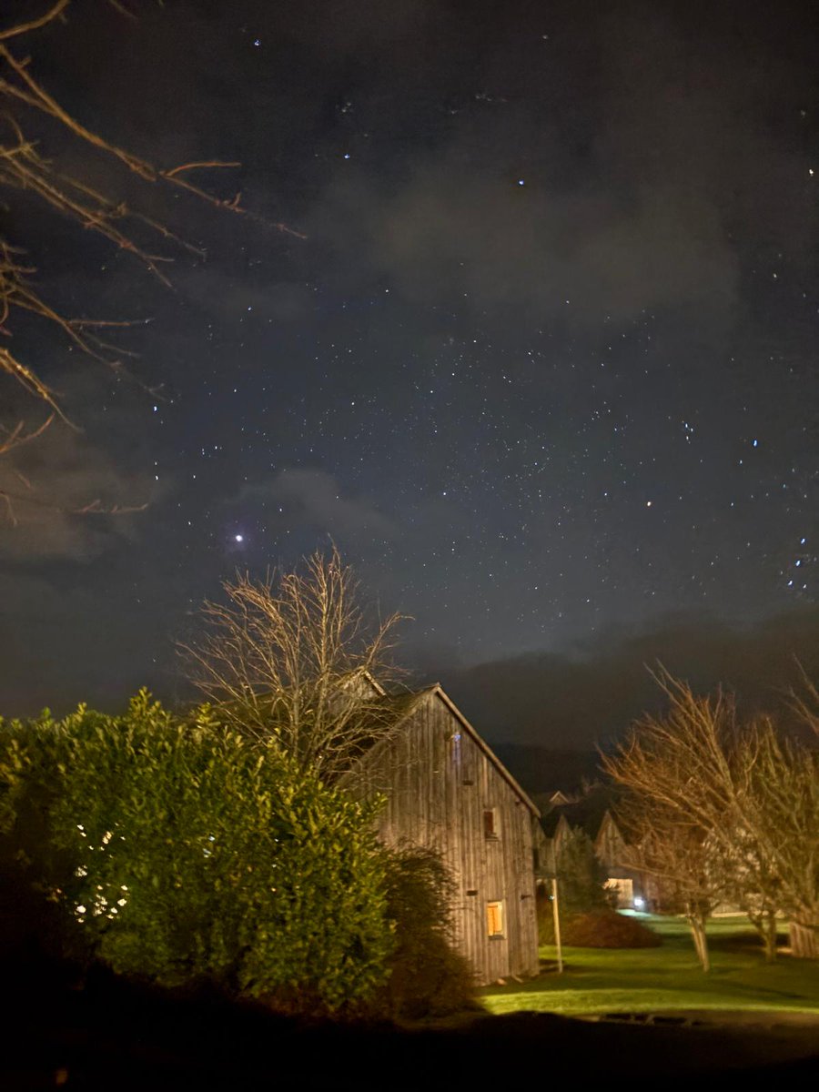 Pauline Scott 🍊💜 tweet media