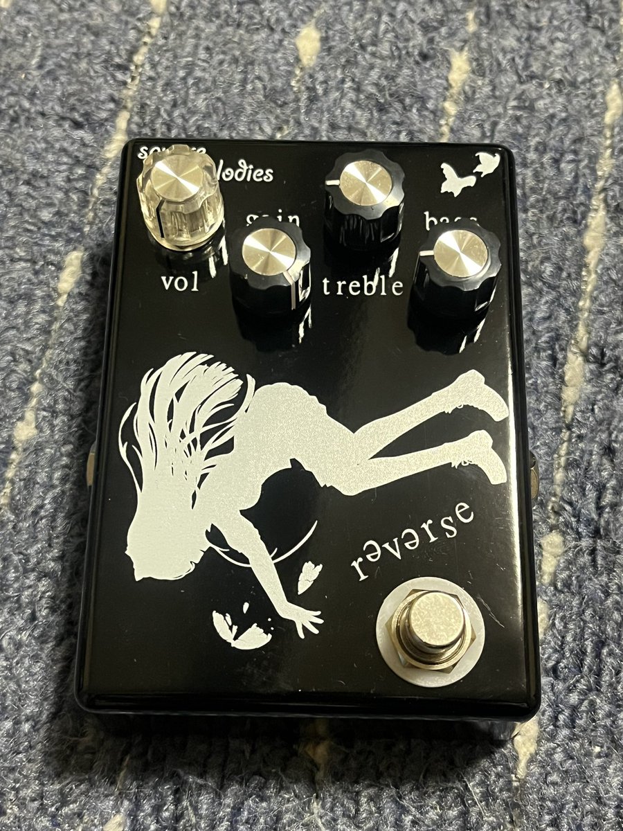 今年買った機材を晒す2025 魔改造ジャズマスター