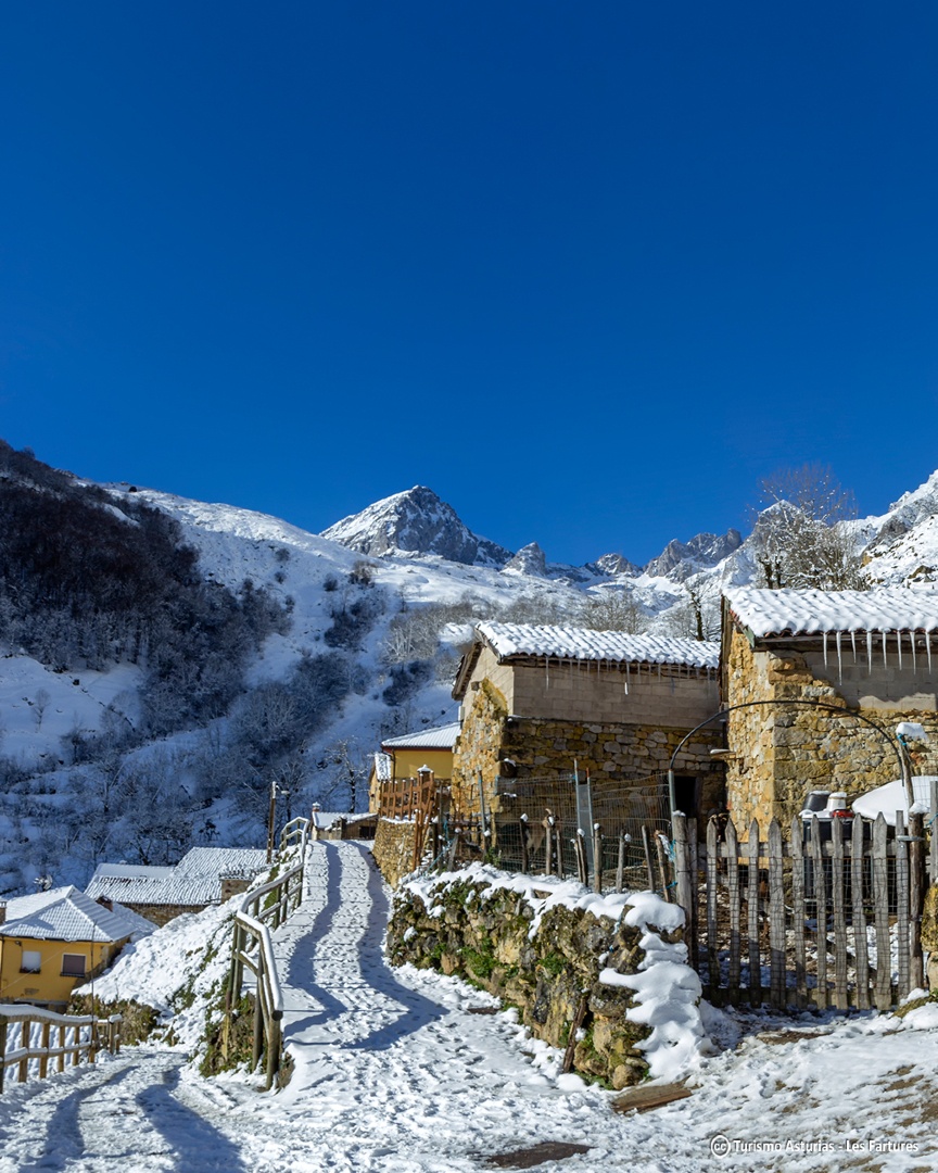TurismoAsturias's tweet photo. Frío, sí ❄️
Cuando Asturias se viste de blanco, todo parece una postal 🤍
¿Con que foto te quedas? https://t.co/BGfL0BKmbx