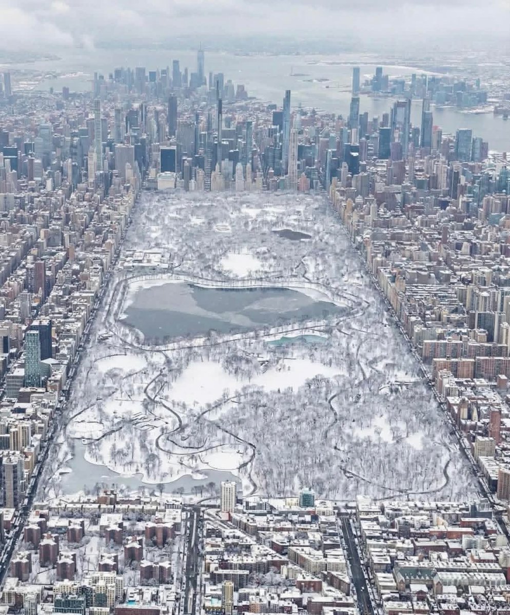 Aerial view of Central Park, New York
