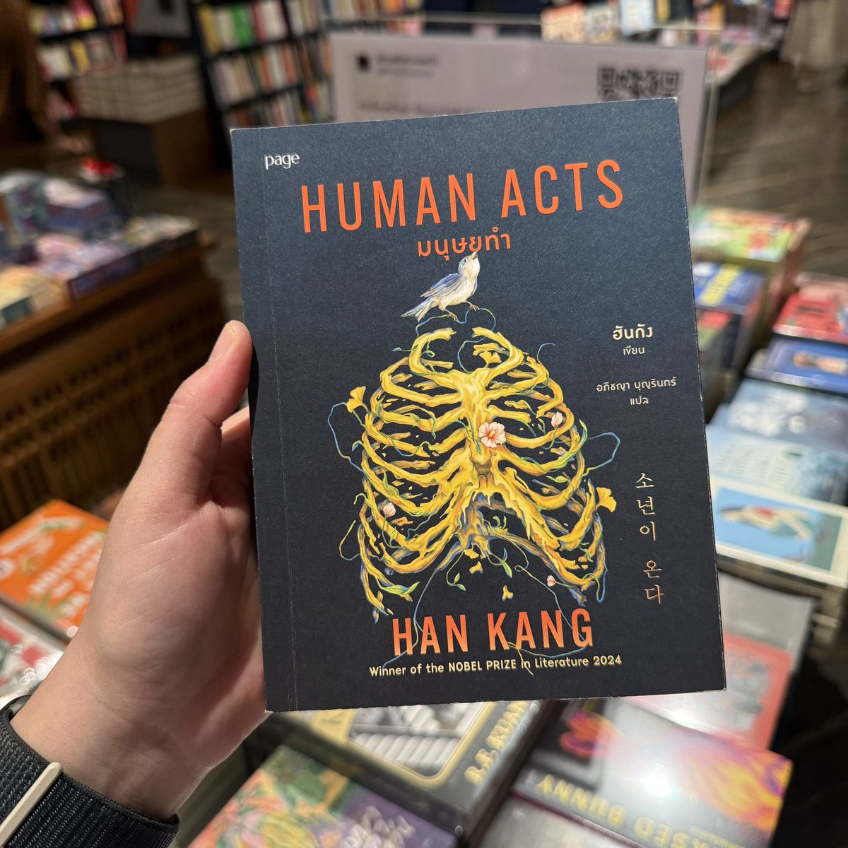 kinowhatsnew's tweet photo. เสียงของพวกคุณทุกคนมีความหมาย! 🫂💕✨

และนี่คือหนังสือที่เหล่านักอ่าน ยกให้เป็น “ที่สุดของปี 2025” แวะเข้ามาเลือกชมหนังสือเหล่านี้ได้แล้วที่คิโนะคูนิยะทุกสาขาค่ะ

🤳🏼📖 ภาพถ่ายจากสาขา centralwOrld
*แต่ละสาขาอาจมีจำนวนสินค้าและสต็อกไม่เท่ากัน สอบถามเพิ่มเติมได้ที่ Information นะคะ https://t.co/TT6eCSSM11