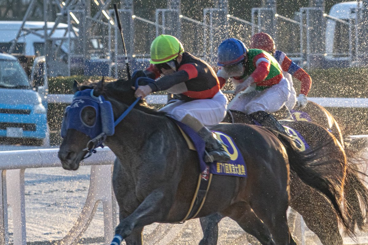 世はまさに大セン国時代