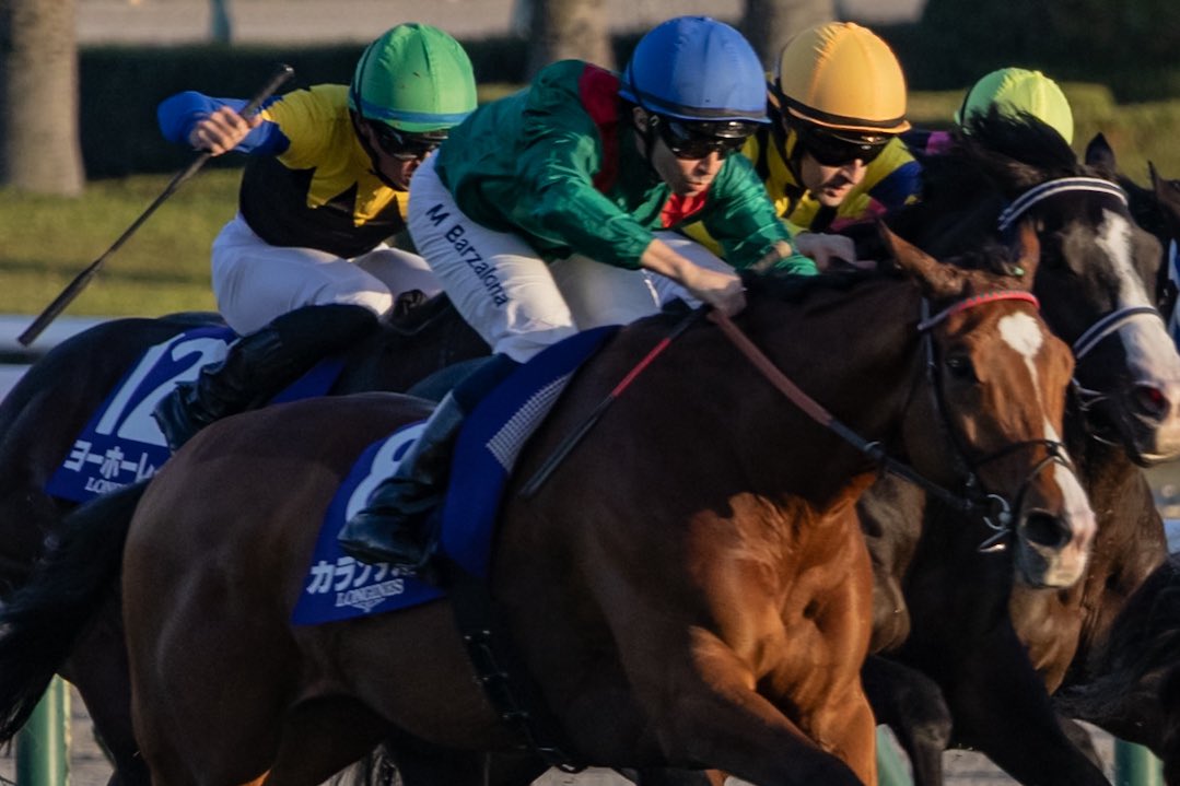 世はまさに大セン国時代