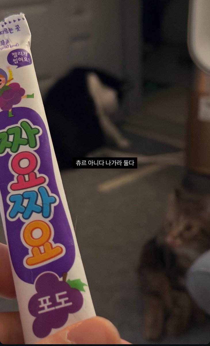 이곤 아빠꺼임!!!