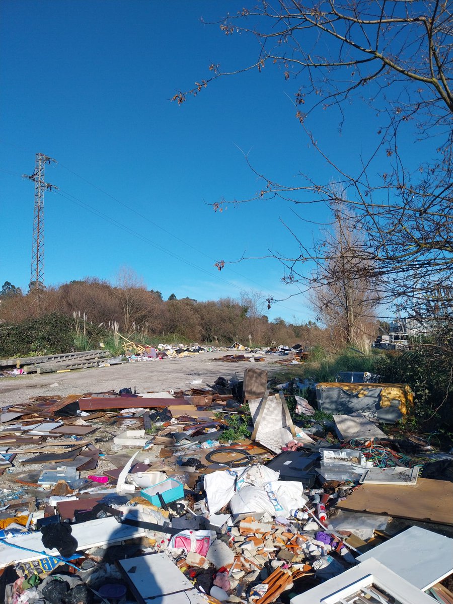 IU Camargo 🇵🇸🔻 tweet media