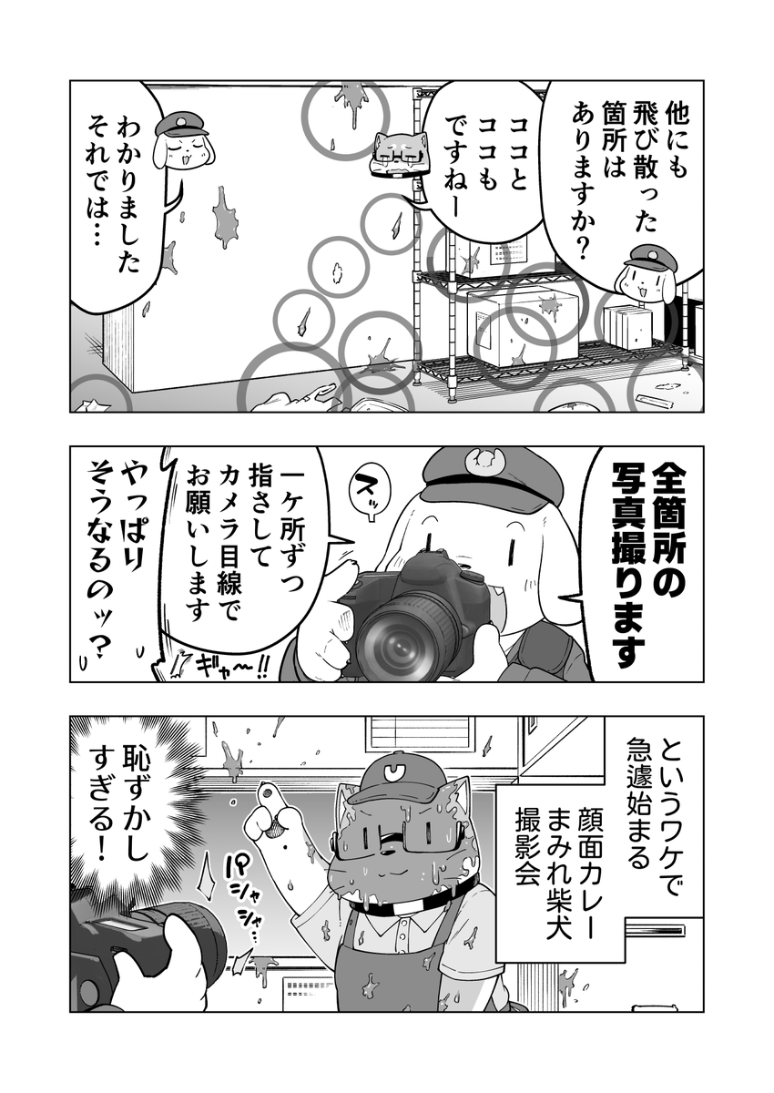 6/6 