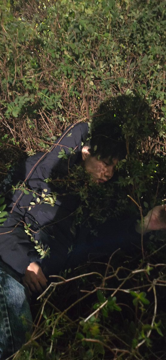 Spring_Rain0427's tweet image. 2人死んだ