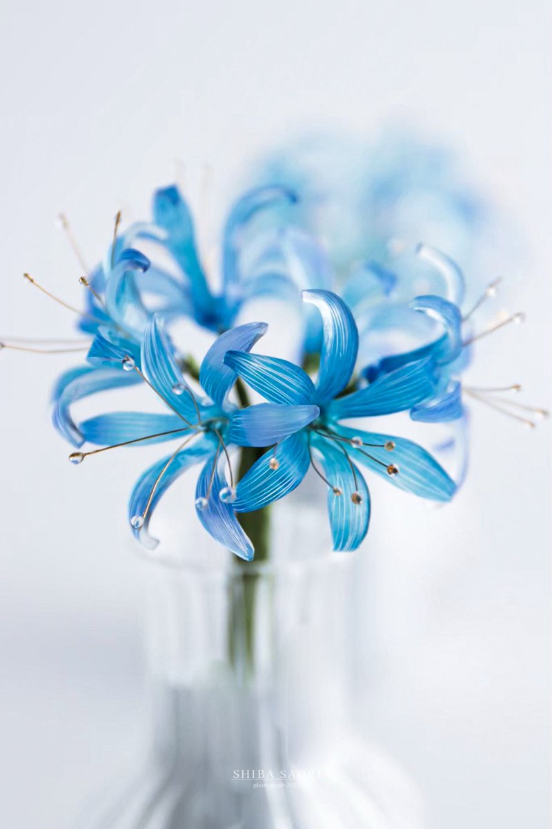 しばさおり (@koshiba0822) / Posts / X