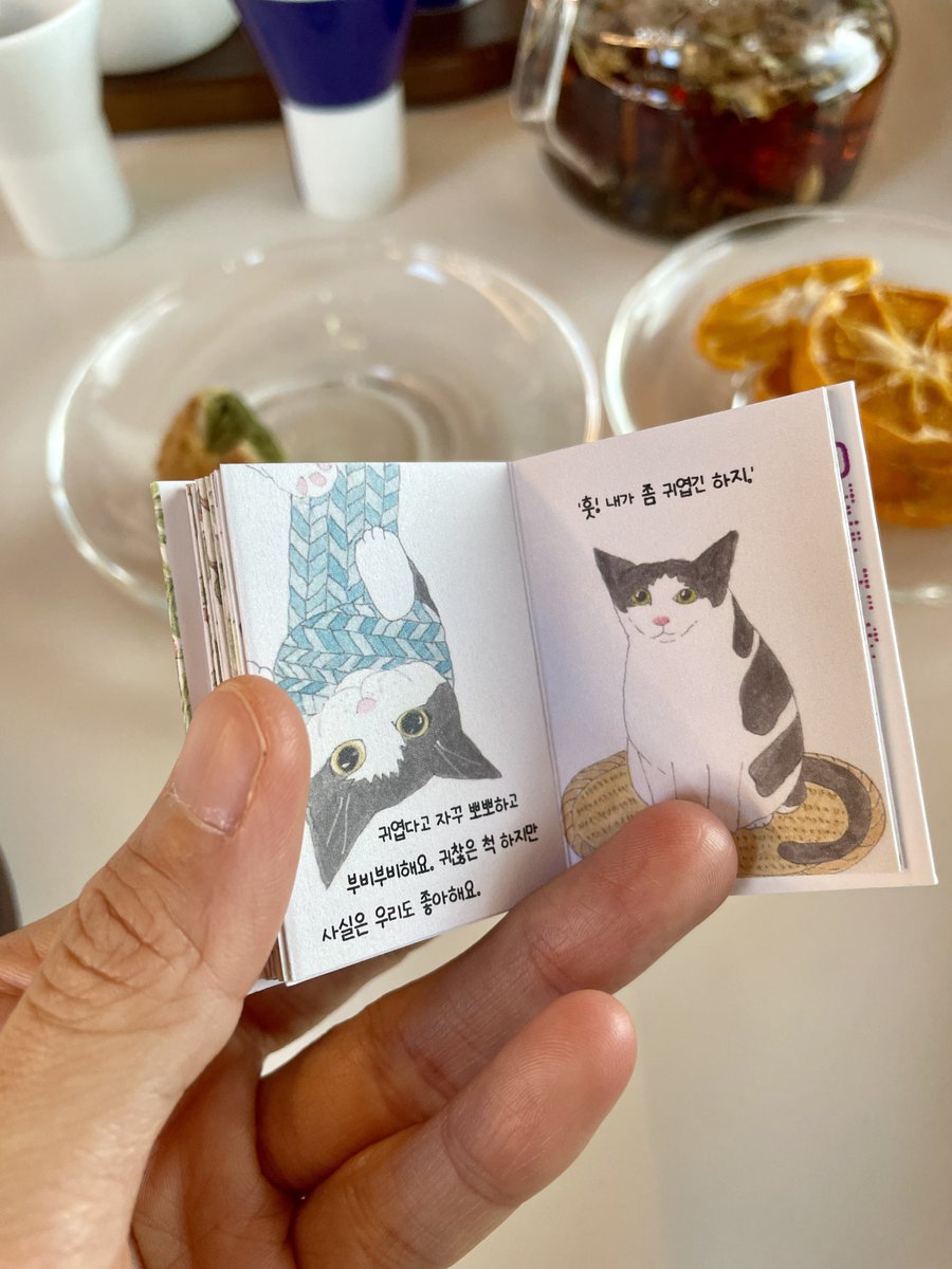 감사인사도 드리고 마무리 지을 일이 있어 들른 곳에서 오히려 큰 응원과 위로를 받은 날. 고양이는 사랑이고, 우리에겐 연대만이 큰 힘이다. 다른 분들의 작업실과 작업 구경 좋아하는 내게는 또 하나의 큰 즐거움이었던 오늘. 직접꾸민 공간을 애정을 가지고 소개해주는 분들을 보면 참 좋다.