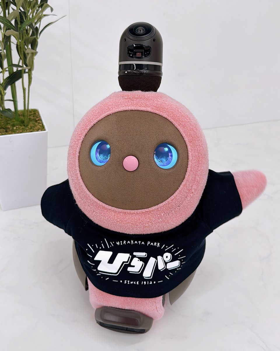 LOVOT OFFICIAL (@LOVOT_official) / Posts / X