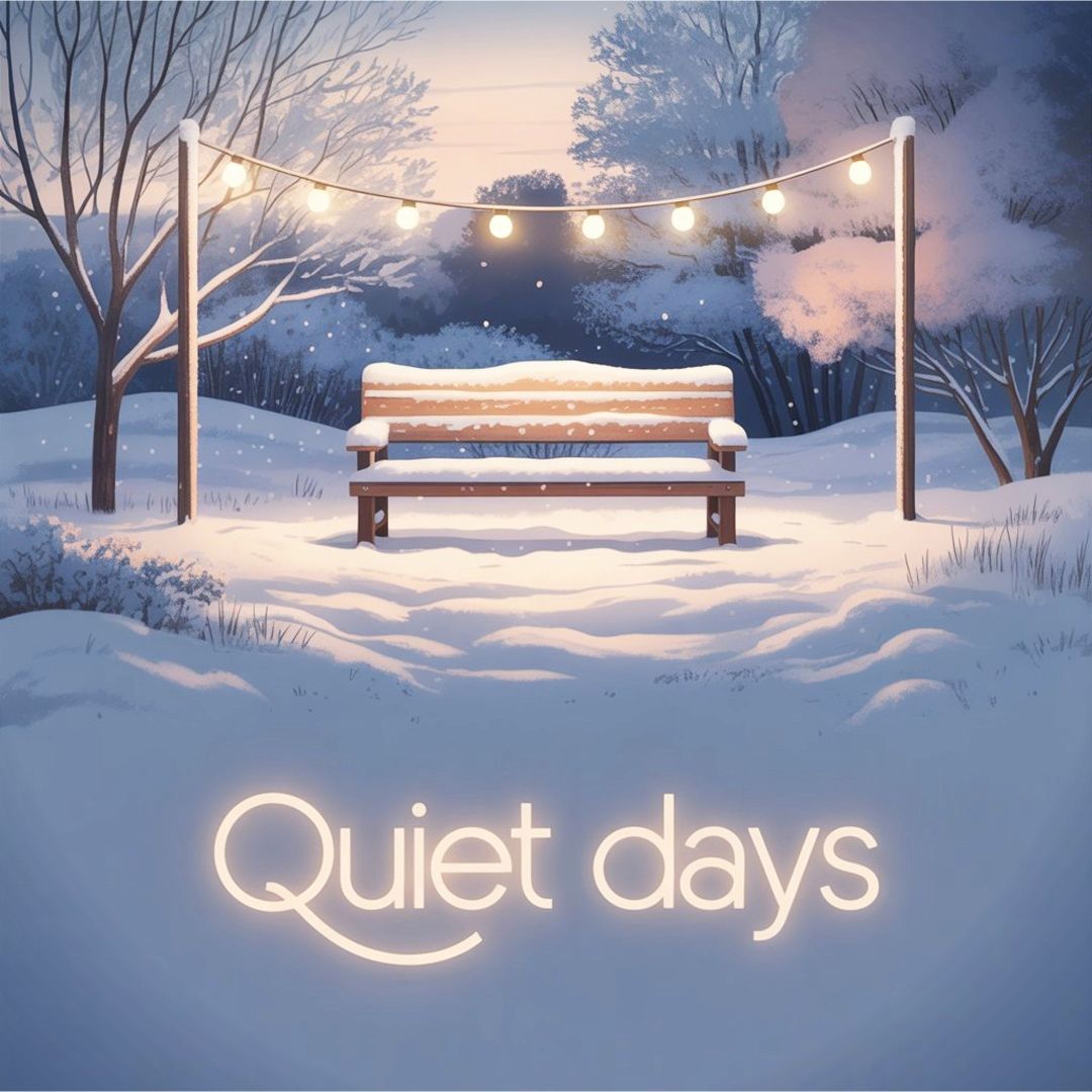 These quiet days between Christmas and New Year are pure magic. ❄️✨ #WinterCalm #SlowSeason #CozyVibes