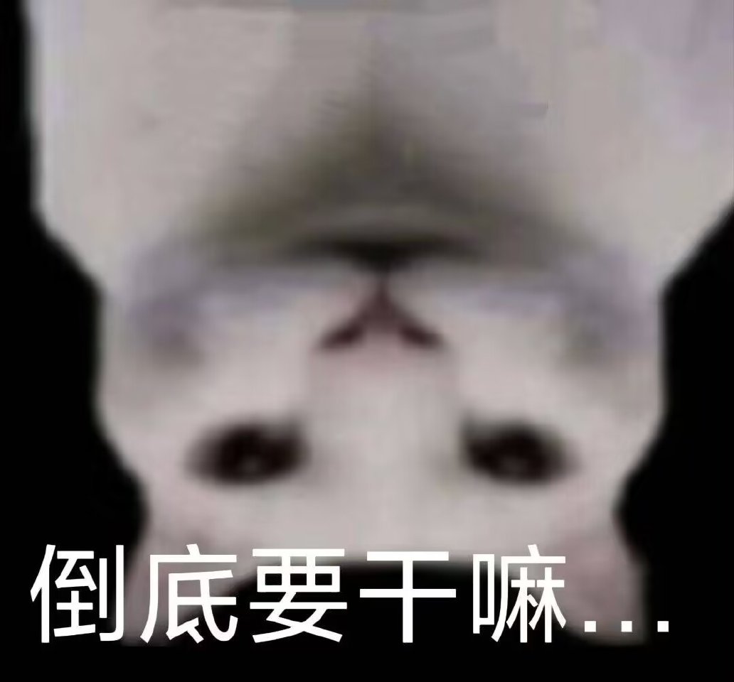 短毛女厨🍊 (@4_azarashi_) / Posts / X