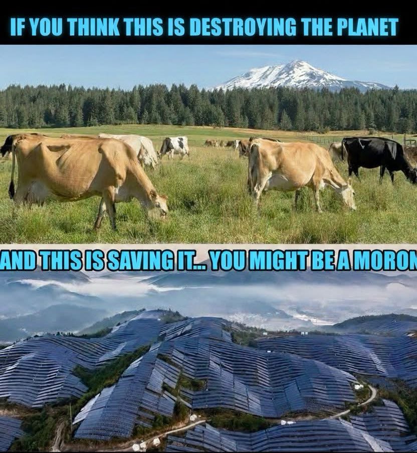 ClarksonsFarm1's tweet image. 