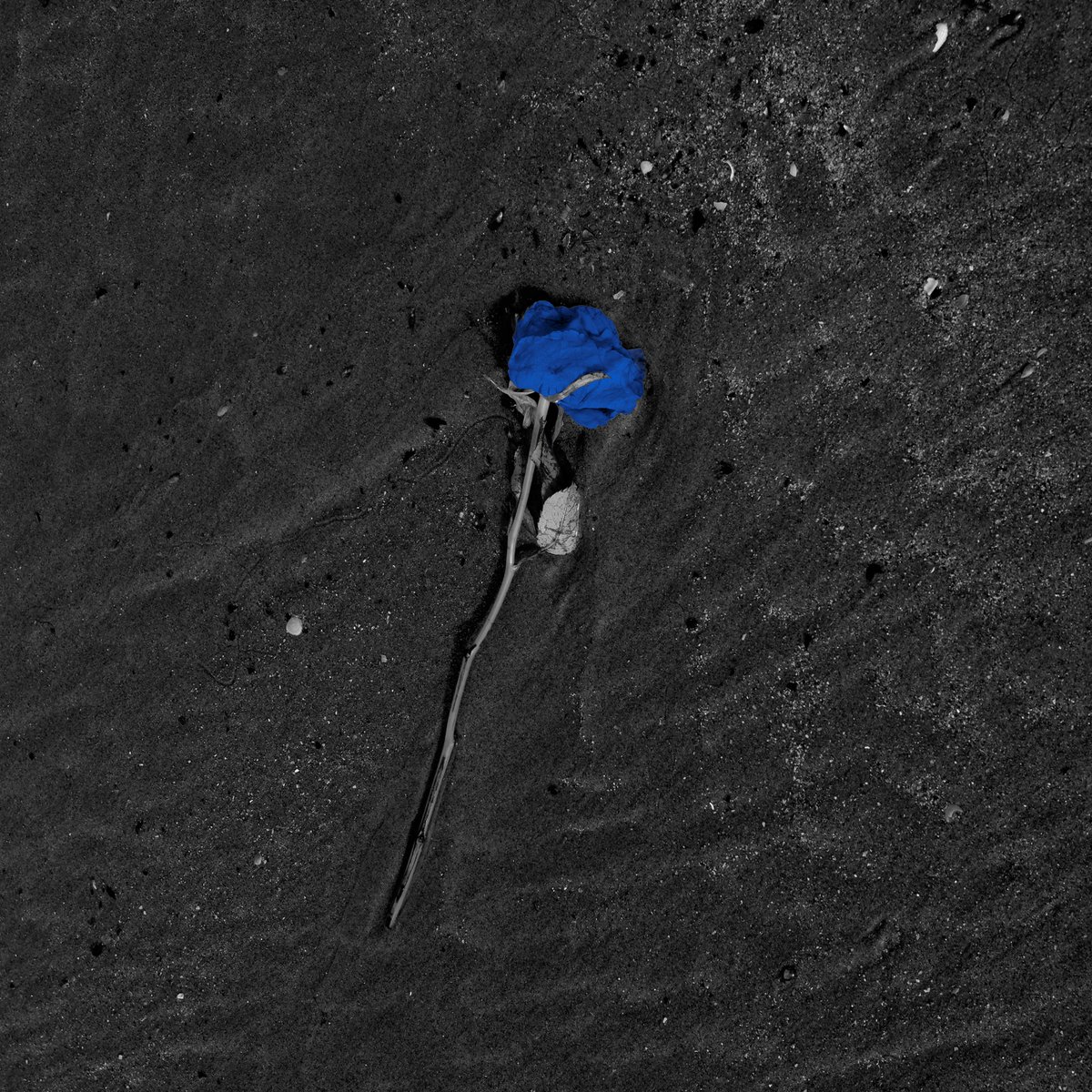 _knive's tweet image. DEAF CENTER - A SECOND (Digital single - out now!) deafcenter.bandcamp.com/track/a-second

As the year is closing, we offer a glimpse into 2026 and share with you today a new Deaf Center piece entitled “A Second”. It is now available digitally on all platforms