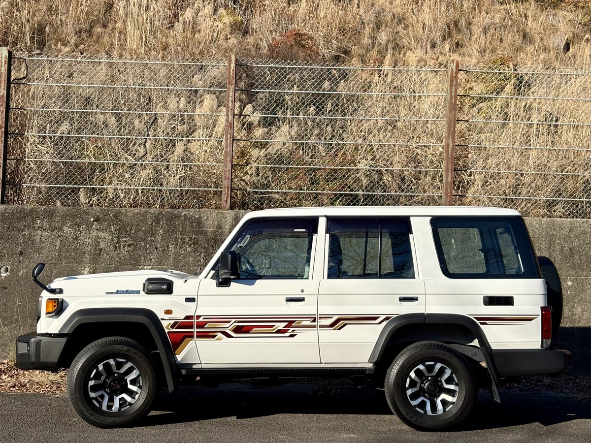 オーダー受付中　ストライプ 納車から1年経ったので 注文時に二の足を踏んだストライプテープを