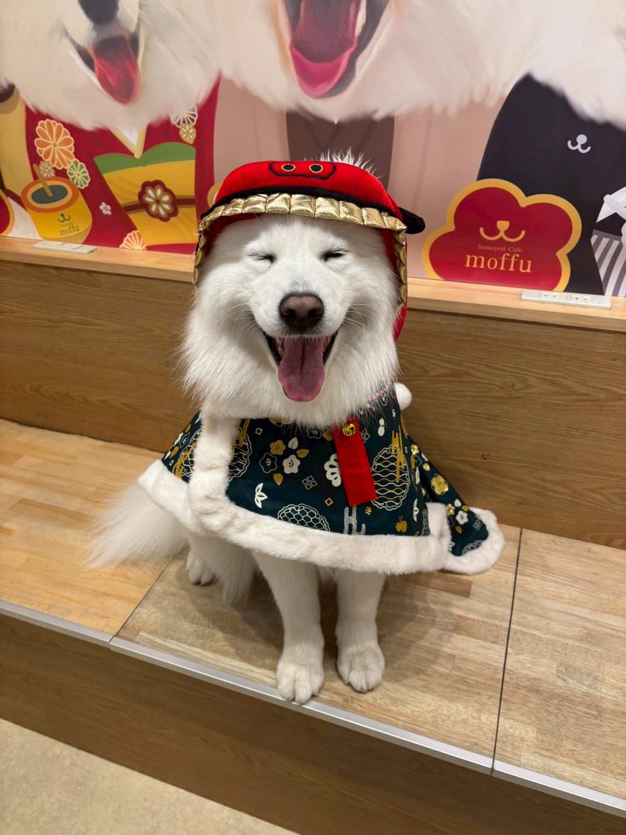 1月からは、コスプレをしたサモちゃん達と横並びのお写真撮れますよー！