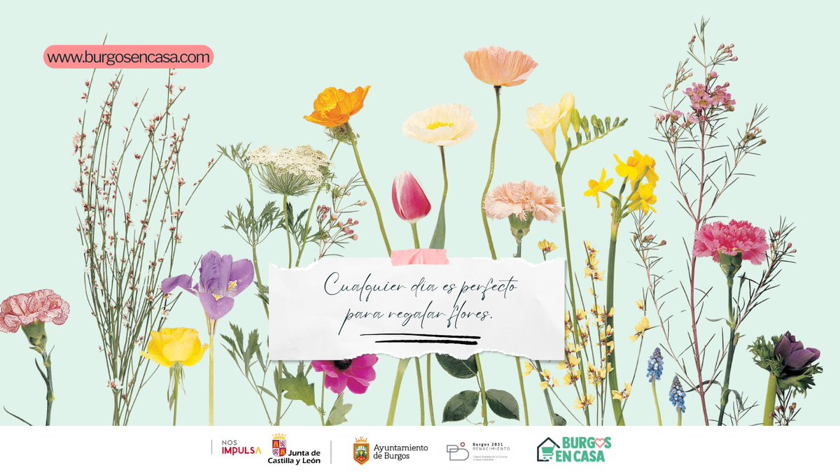 🌸 CUALQUIER DÍA ES PERFECTO PARA REGALAR FLORES 🌸
No hace falta que sea una ocasión especial para sorprender 💐
Regala flores y apoya al comercio local de Burgos.
🌸💐💖
👉 ¡Corre a por él! burgosencasa.com
#Flores #RegalarEmociones #ComercioLocal #Burgos