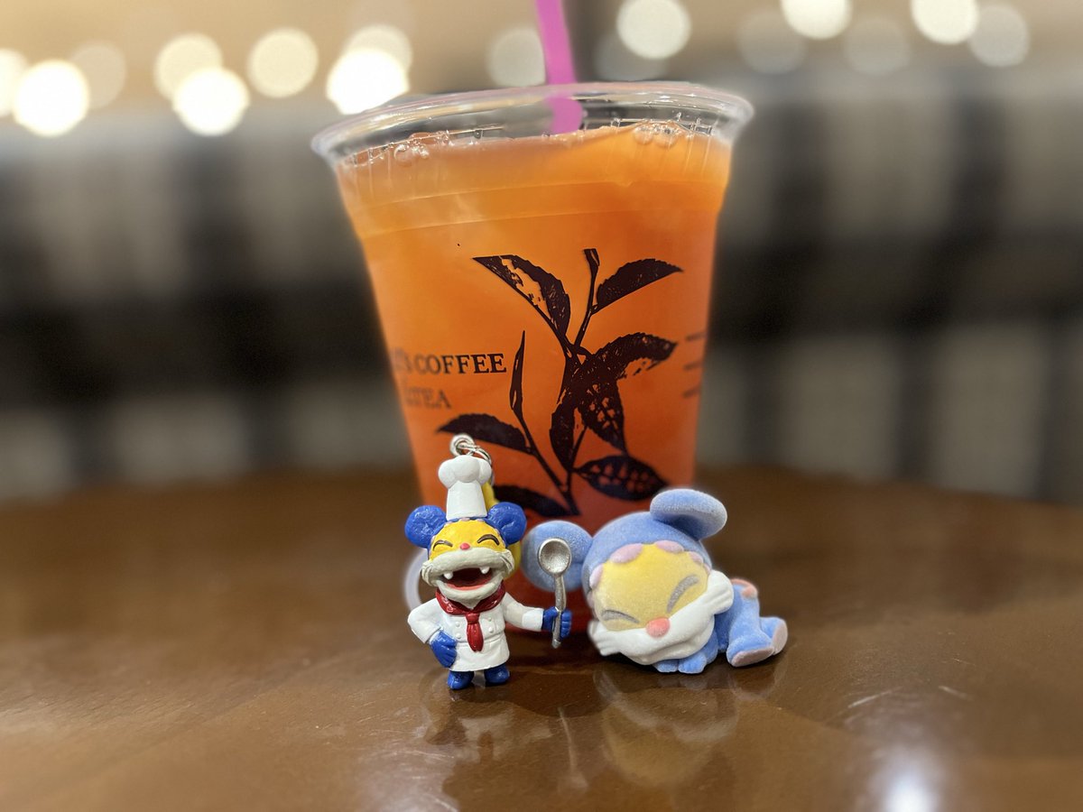 ニャンちゅう😸🤍🤍