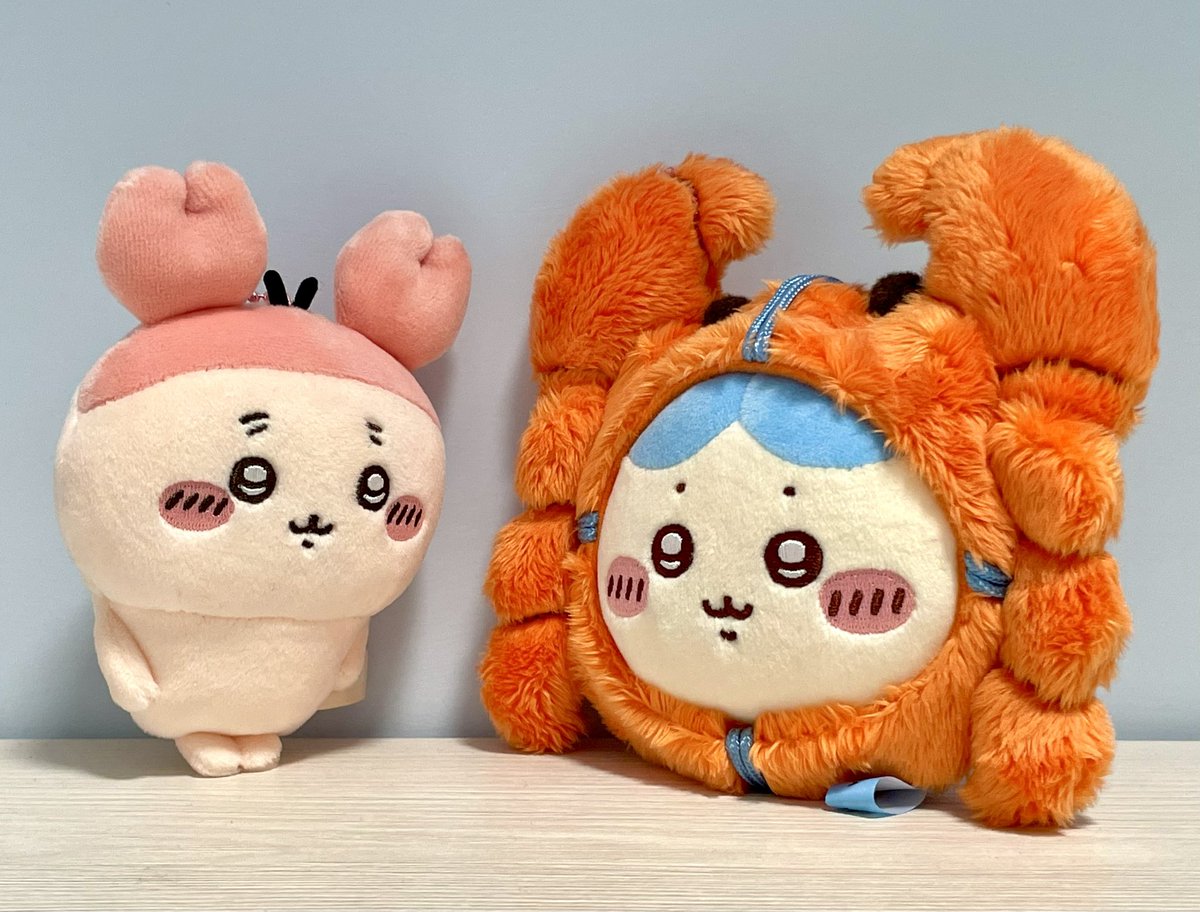 カニちゃん、カニと遭遇🦀